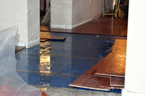 Professional Storm Water Damage Restoration technician working in Gardner, IL